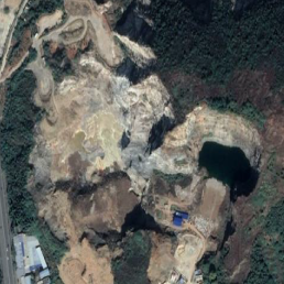 Forest Management Application