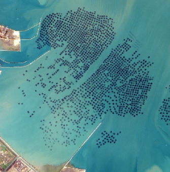 Marine Ecosystem Monitoring